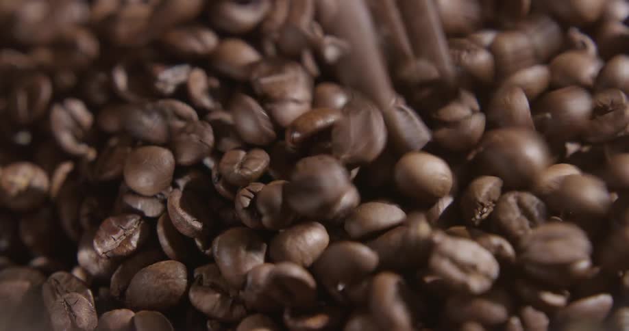 A drop of coffee beans