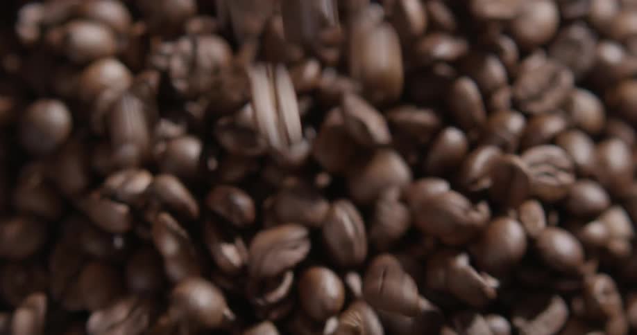Coffee beans being poured in to a grinder