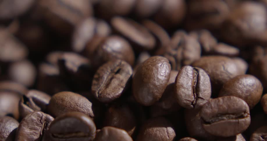 Pile of coffee beans sits undisturbed