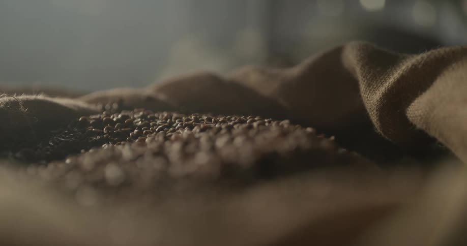 View of coffee beans in sack