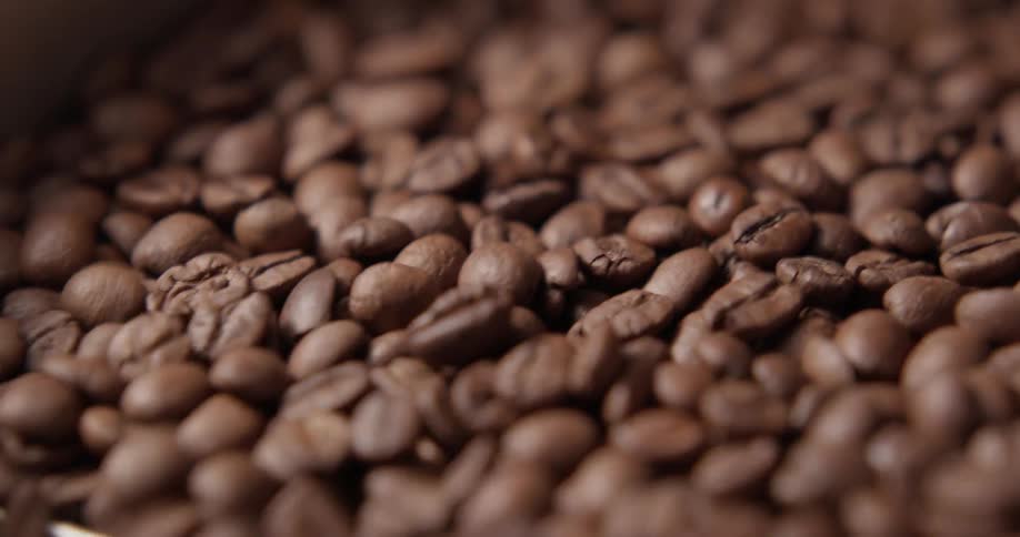 Coffee beans move along a conveyor belt