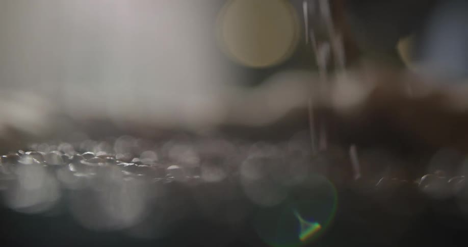 Lights glitter as a hand scoops up coffee beans and lets them sift back down
