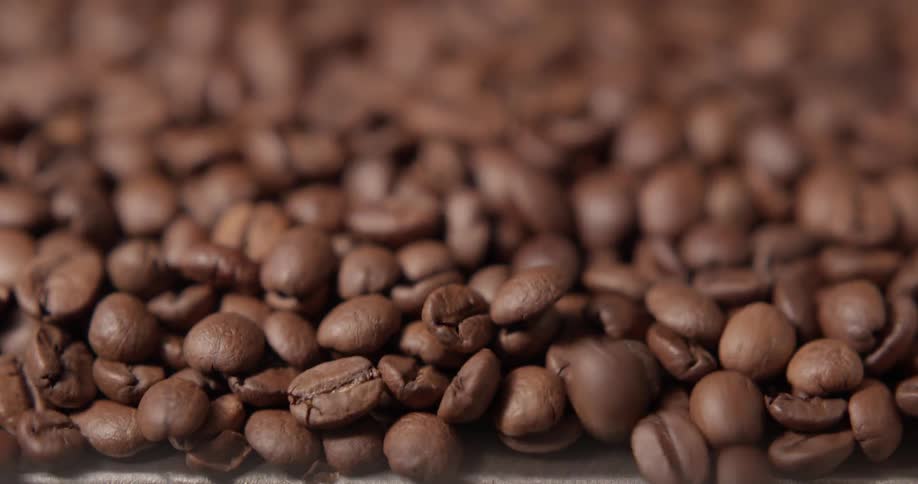 Coffee beans moving along a conveyor belt