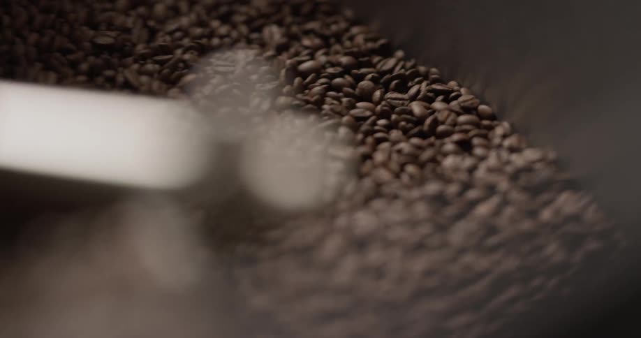 A machine stirs a large number of coffee beans