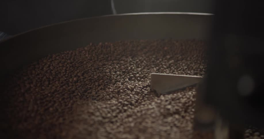 A man uses a machine to spin coffee beans and then puts his hand in and grabs some of them