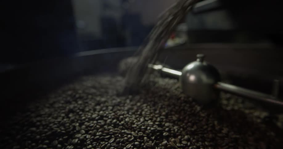 A man lifts the handle and pours roasted coffee beans into the turning agitator