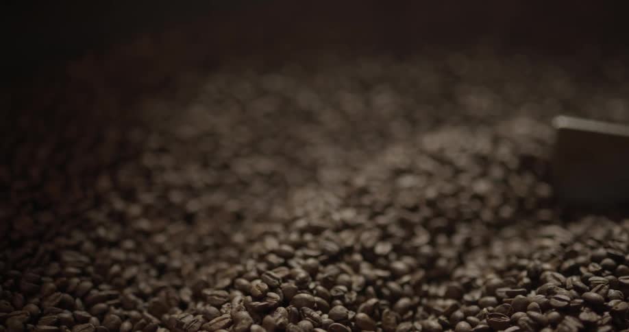 A man takes a handful of coffee beans out of an industrial coffee bean grinder