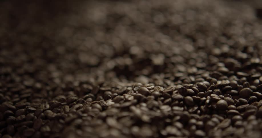 A hand scoops up a bunch of coffee beans