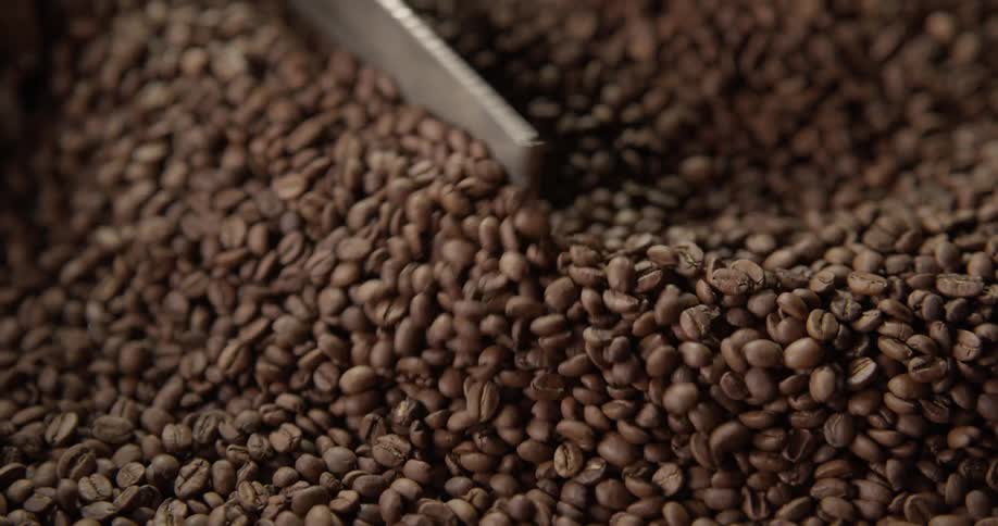 A coffee roasting machine turns and agitates the coffee beans