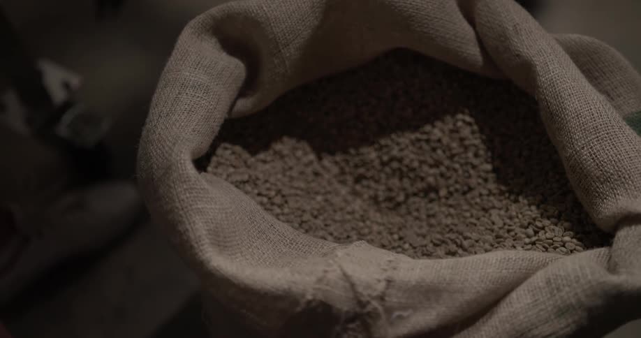 A person gets a scoop full of coffee beans out of a sack
