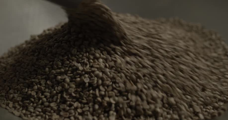 A scoop of coffee beans is poured on to a pile of coffee beans