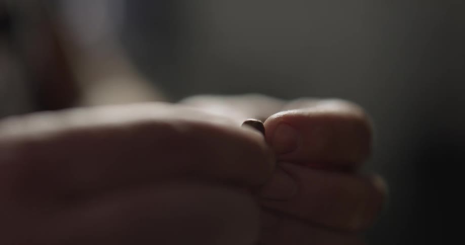 A person splitting and tasting a coffee bean