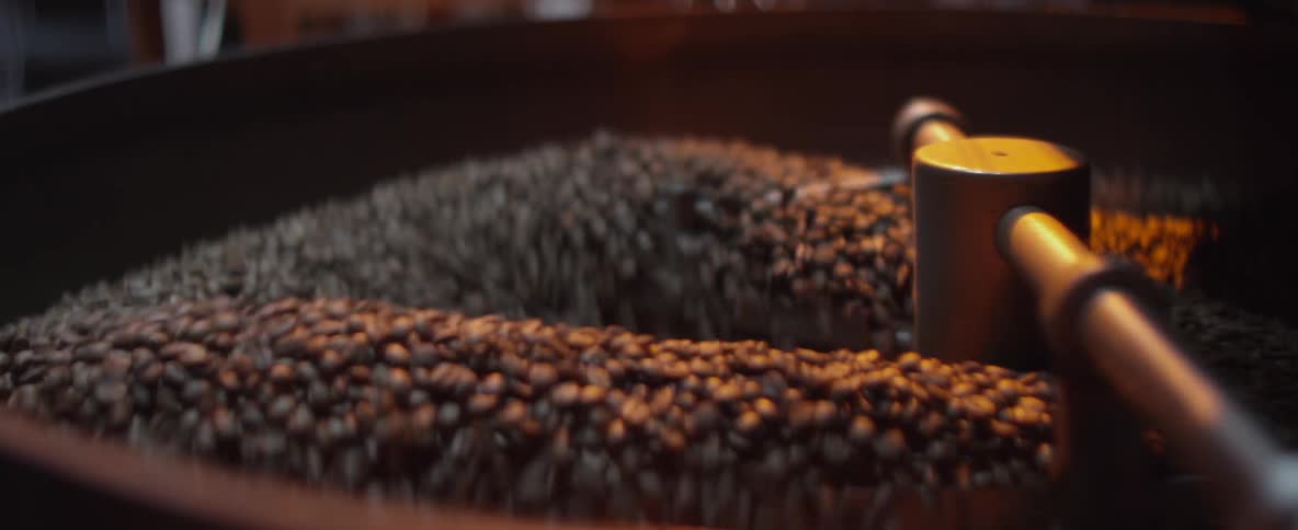 Coffee beans being churned in a big basin