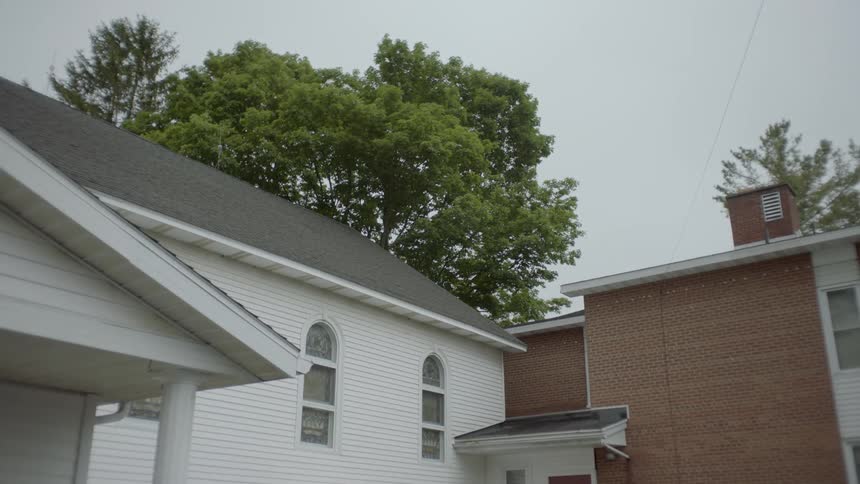 The tree rises behind the houses