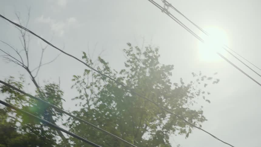Power lines stretch from post to post with trees and blue sky above
