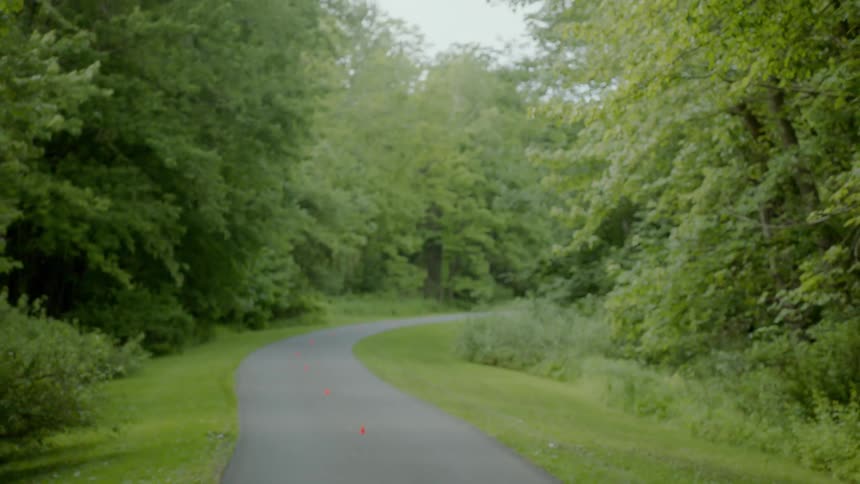 Small orange cones placed in the center of a path through the trees and grass