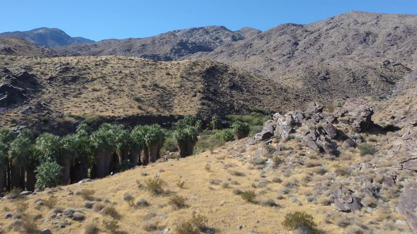 Rolling hills with rocky formations and small trees