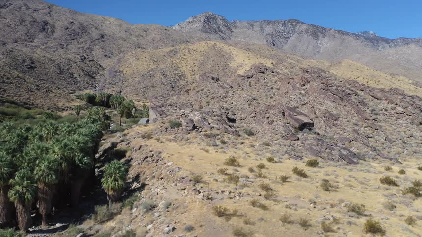 A mountain range with trees at the base