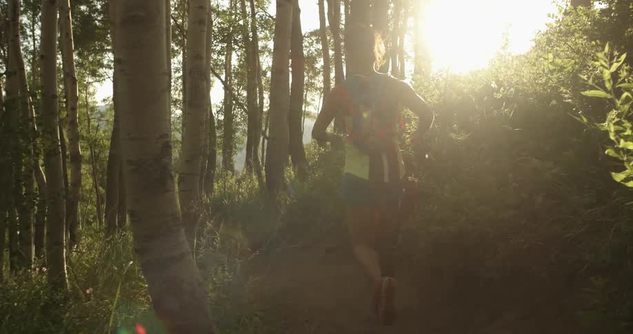 A person runs a trail in the forest