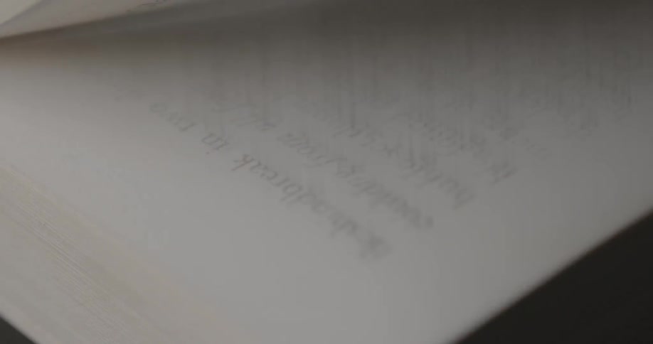 A book being quickly flicked