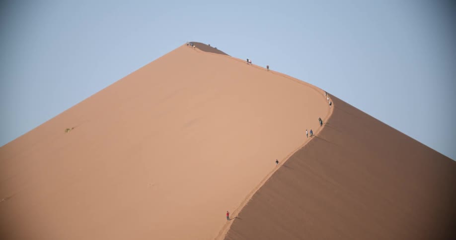 People stand on a tall sand dune in a desert