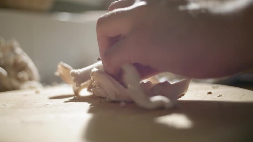 A person slices and dices a piece of plant material