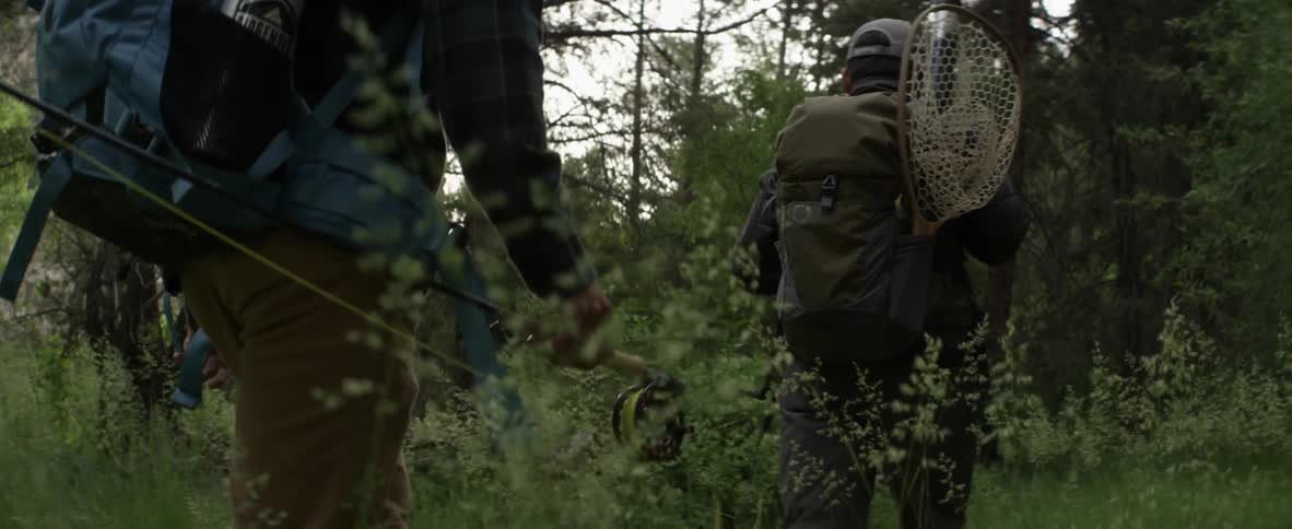 People are hiking in the forest as the sun sets