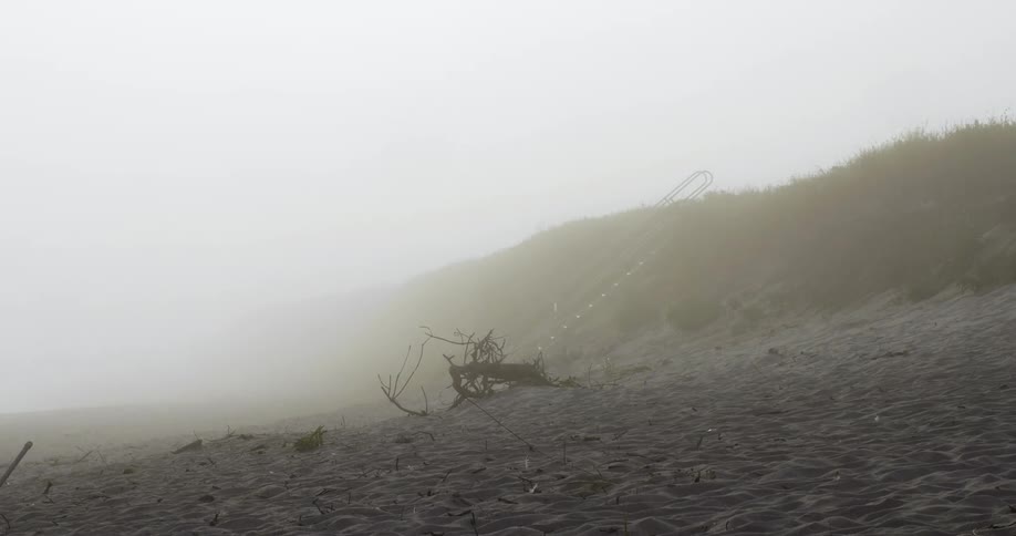 Fog rolling in on the sand