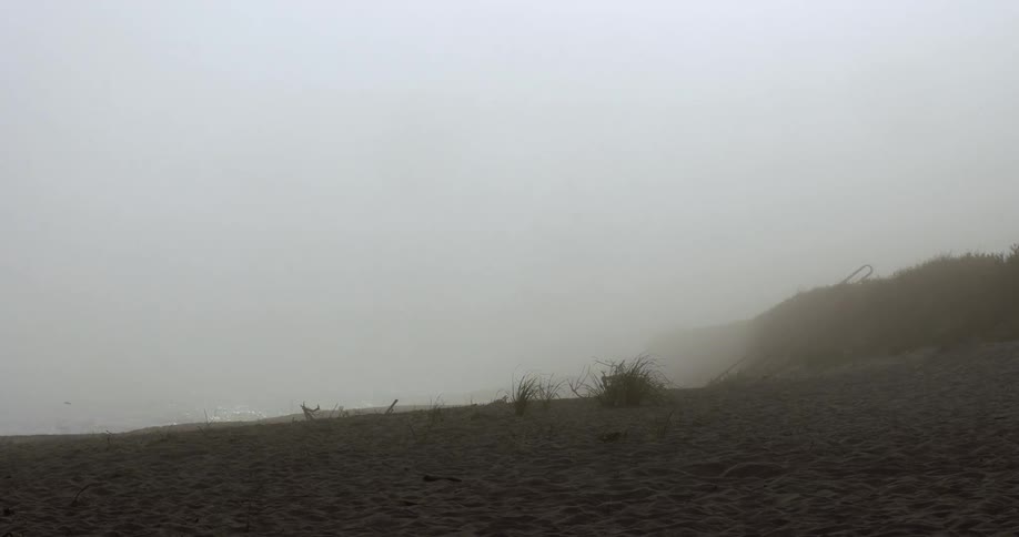Fog rolling on a beach