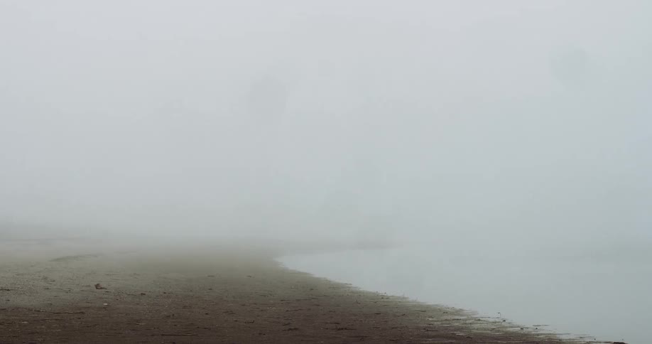 Fog rolling over a beach