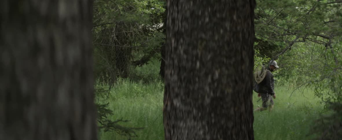 A man with a backpack walks through the forest talking to another man