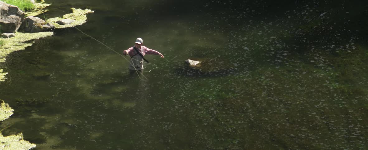 A man is fly fishing on a sunny day