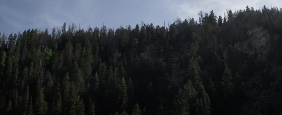 Aerial footage of the tops of trees in a mountainous area as the sun stream through clouds