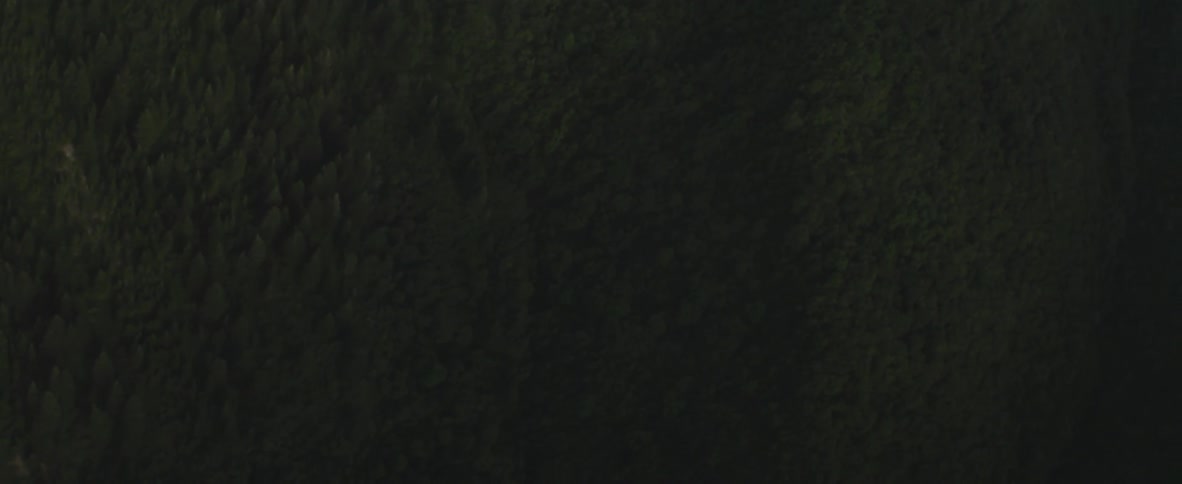 Looking down into a valley covered in a thick forest