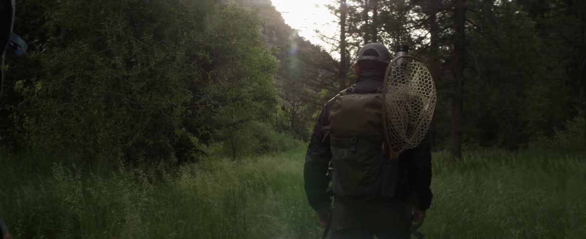 Man with backpack and butterfly net walks into a forest with another man