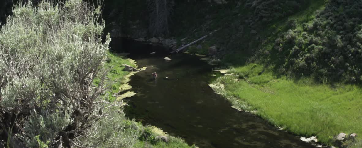 A man fishing in a stream