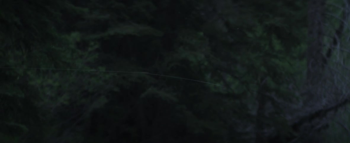 A fishing line being thrown