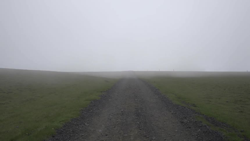 A small path runs into the distance on a foggy day