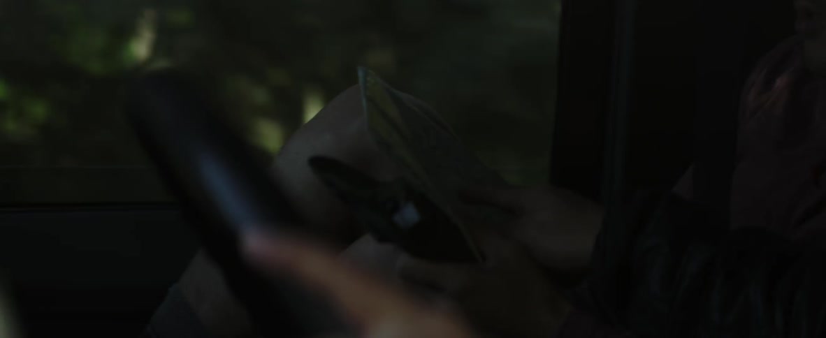 Two people travel quickly in a vehicle  through a wooded area