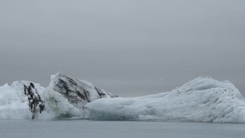 Large icebergs sit floating in the water
