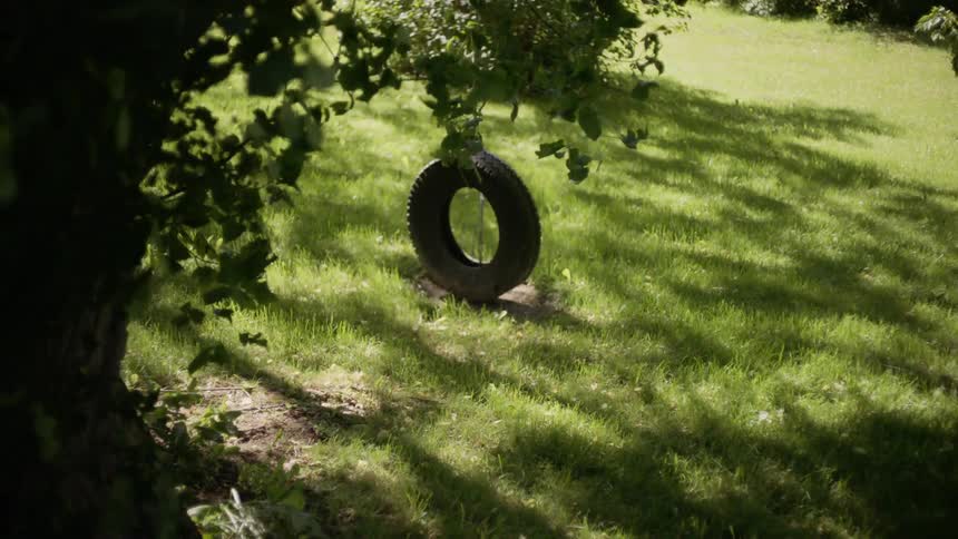 A tire swing is in the yard
