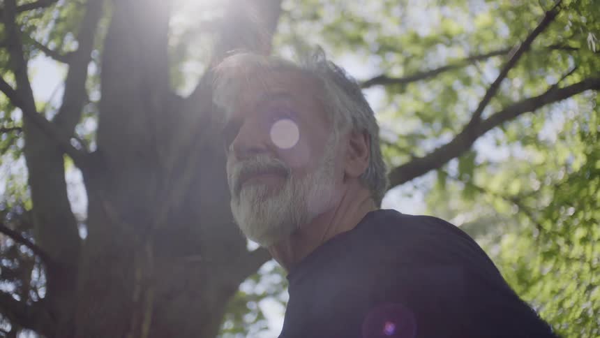 Bearded man stands near a tree under a sunny sky