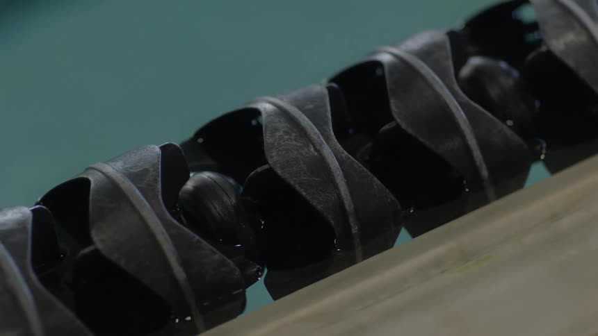 A flotation piece in the pool
