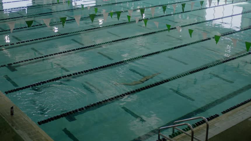 A woman swimming in an olympic size swimming pool