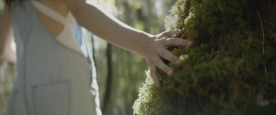 A woman touches the side of the tree as she hikes