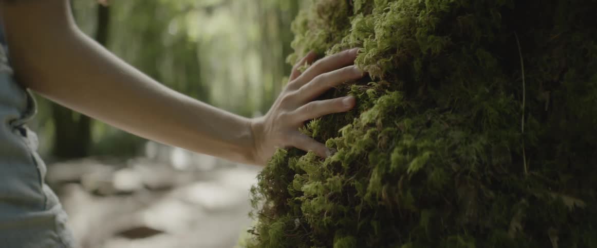 A woman runs her hand along the moss covered hill
