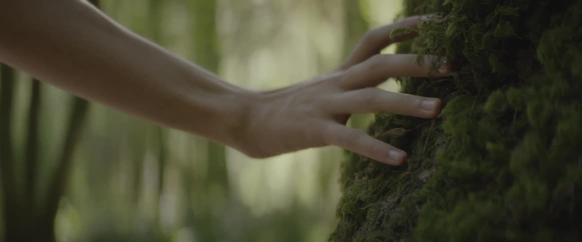 Woman touches tree trunk in the woods during the day