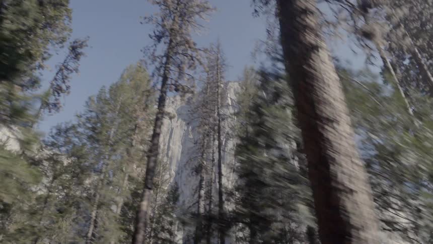 Driving through Yosemite, watching El Capitan