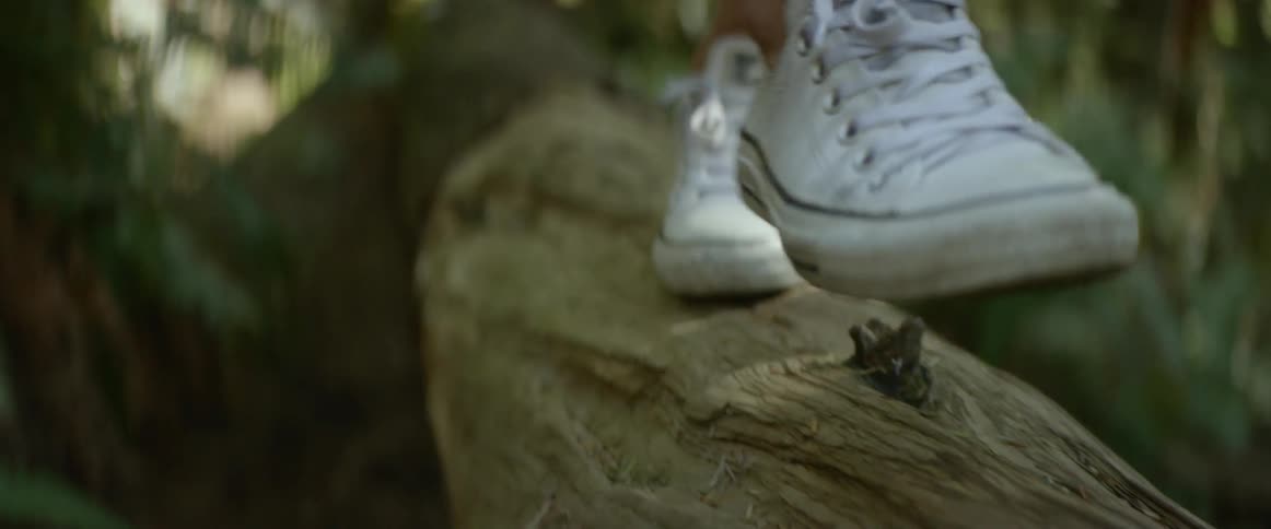Person balances across fallen tree trunk in forest