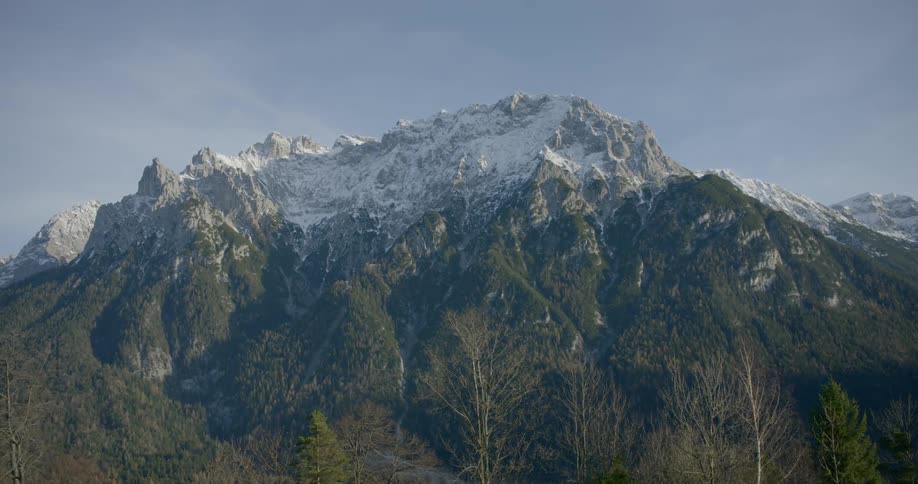 Trees with mountains and the sky in the background